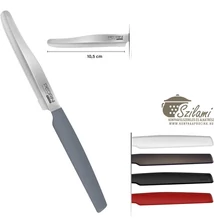 Steak kés műanyag nyelű 10,5 cm Pedrini 6 db