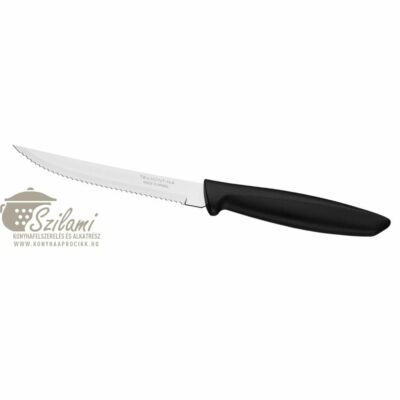 Steak kés műanyag nyelű 12,5 cm Tramontina Plenus